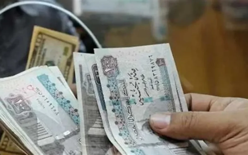 تفاصيل جدول الحد الأدنى للأجور لجميع الدرجات الوظيفية من السادسة للممتازة